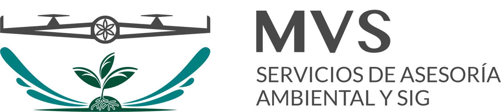 Servicios de Asesoría Ambiental y SIG