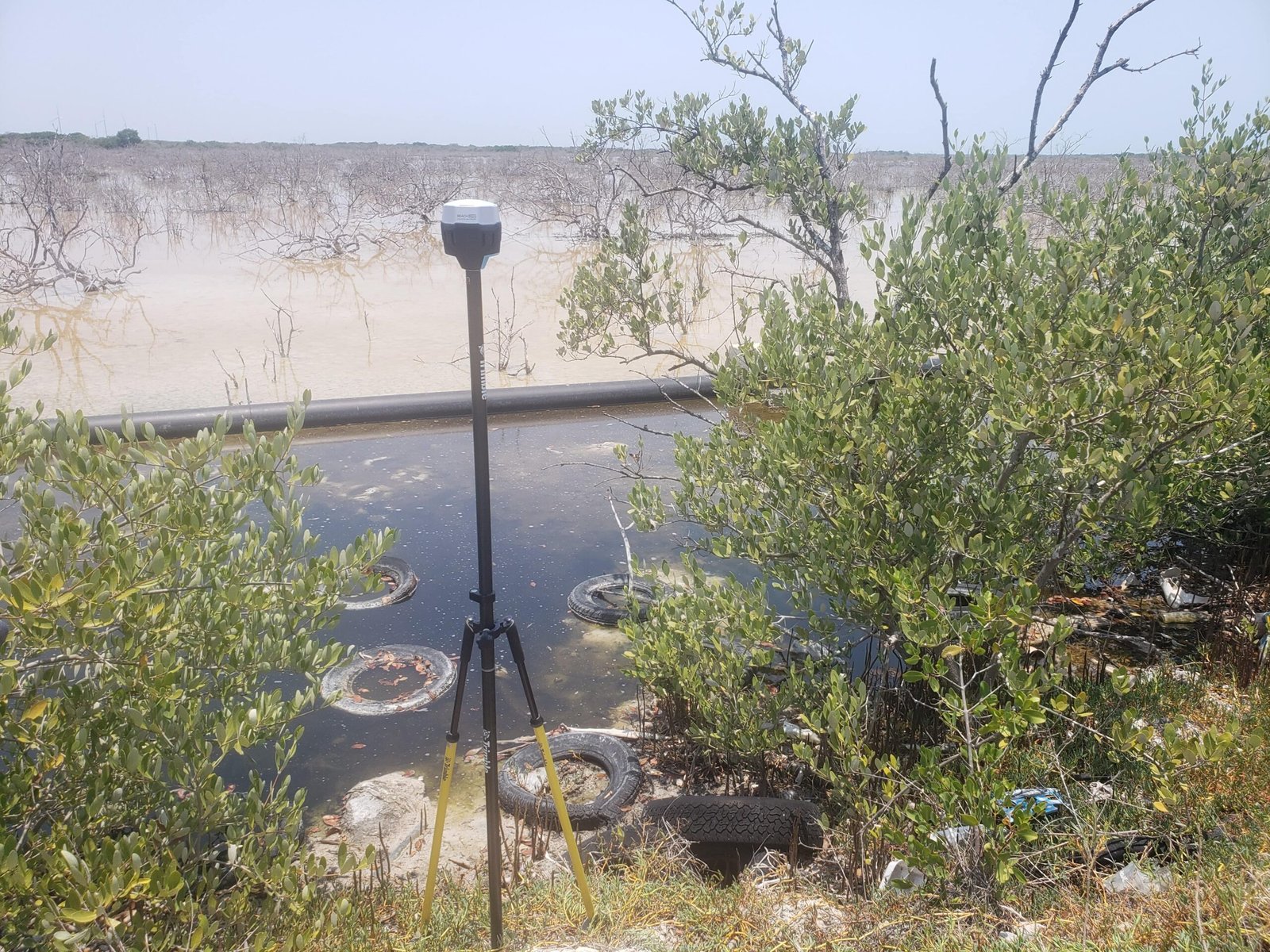 Receptor_GNSS_Manglar_contaminación_humedal